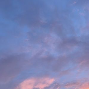 Meet your Posher, Ava